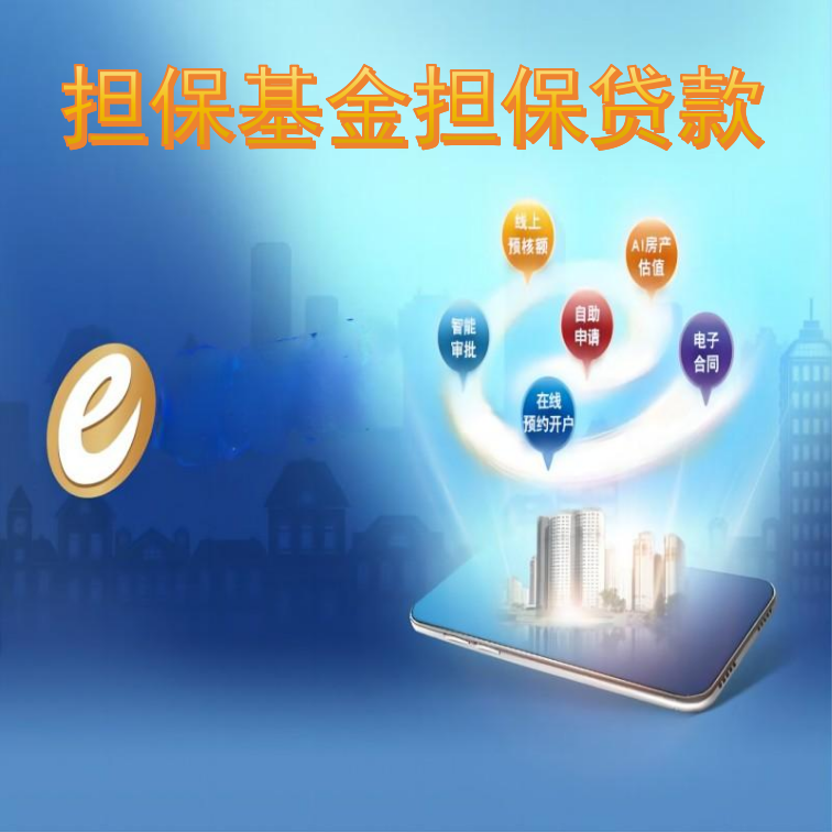 S003-担保基金担保贷款