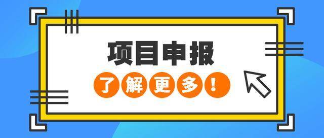 S060-项目申报
